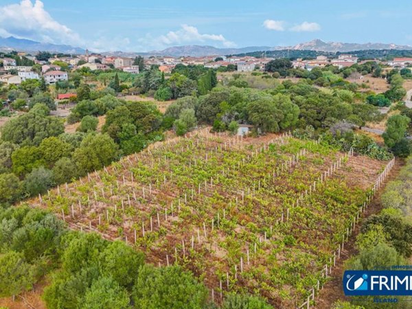 terreno agricolo in vendita a Telti