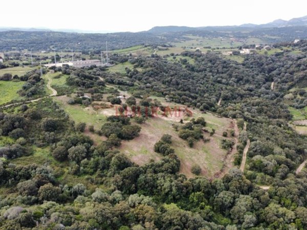 terreno agricolo in vendita a Telti