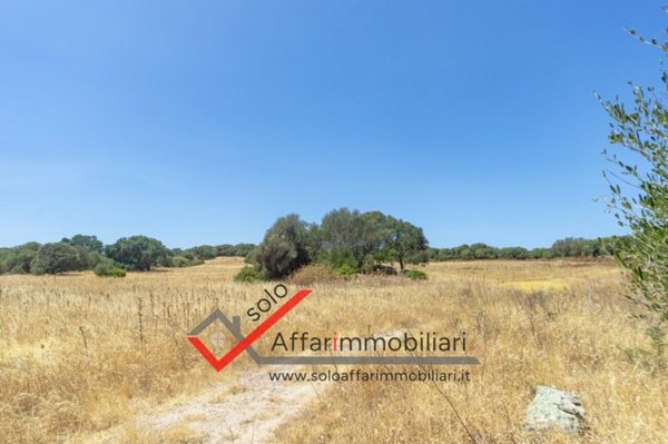 terreno agricolo in vendita a Telti