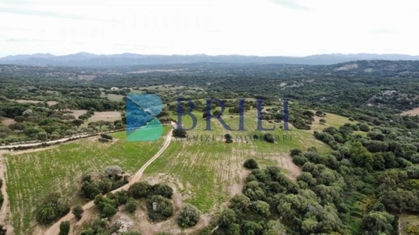 terreno agricolo in vendita a Telti