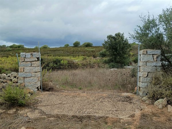 terreno agricolo in vendita a Telti