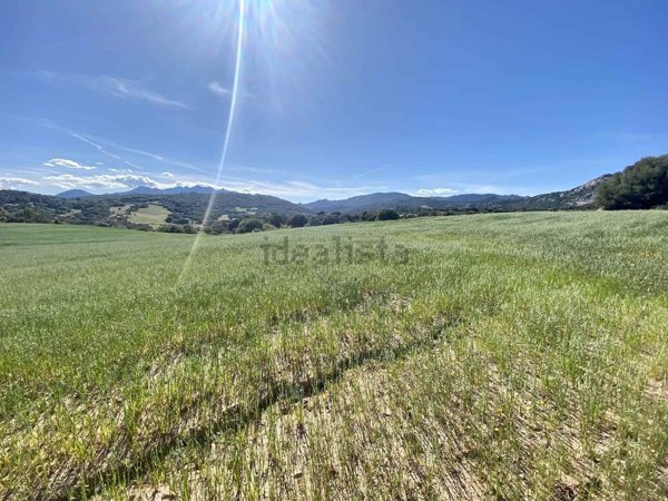 terreno agricolo in vendita a Telti