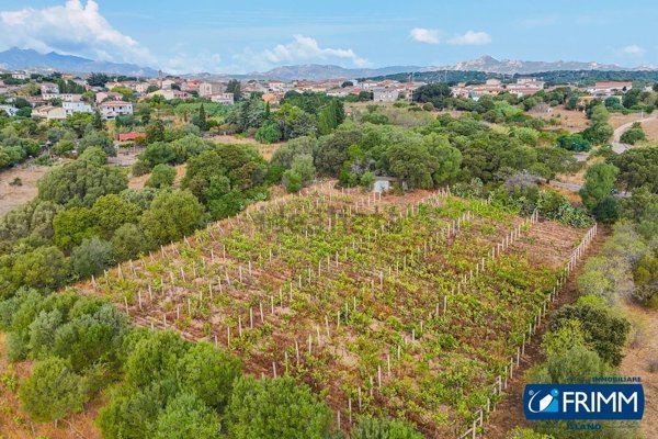 casa indipendente in vendita a Telti