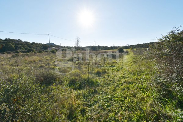 terreno agricolo in vendita a Telti