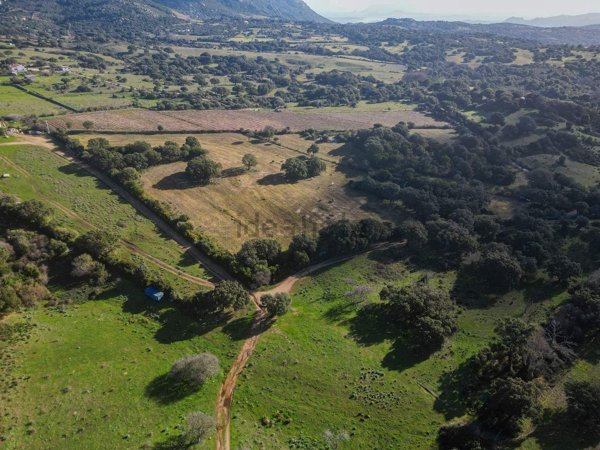 terreno agricolo in vendita a Telti