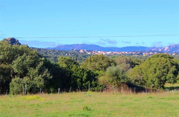 casa indipendente in vendita a Telti