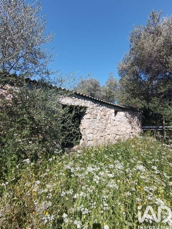 terreno agricolo in vendita a Telti
