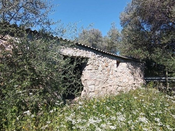 terreno agricolo in vendita a Telti