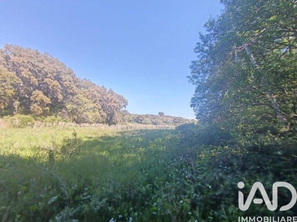 terreno agricolo in vendita a Telti