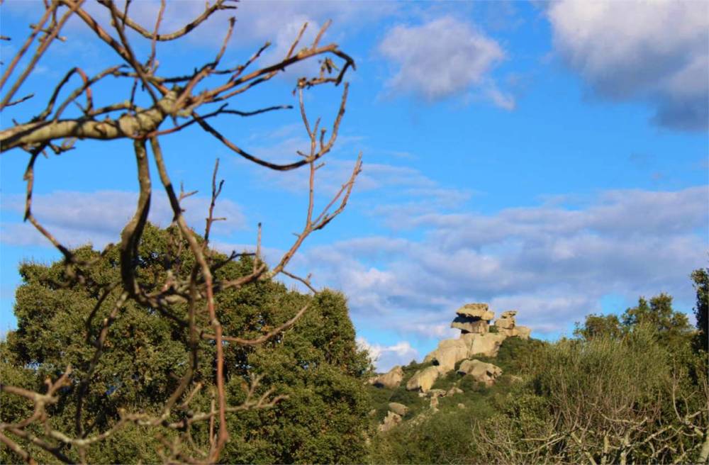 ufficio in vendita a Telti