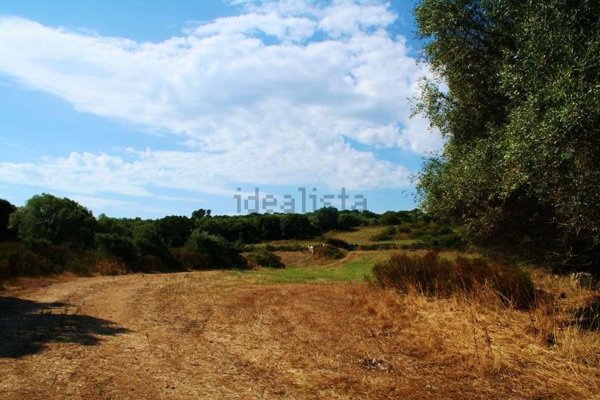 terreno agricolo in vendita a Telti