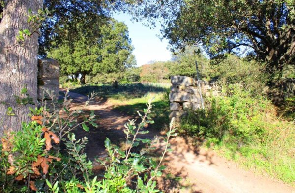 casa indipendente in vendita a Telti