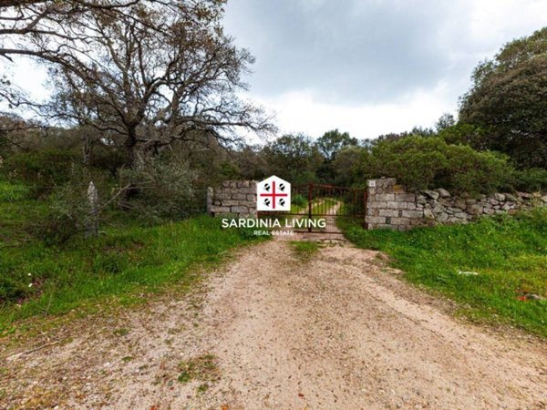 terreno agricolo in vendita a Telti