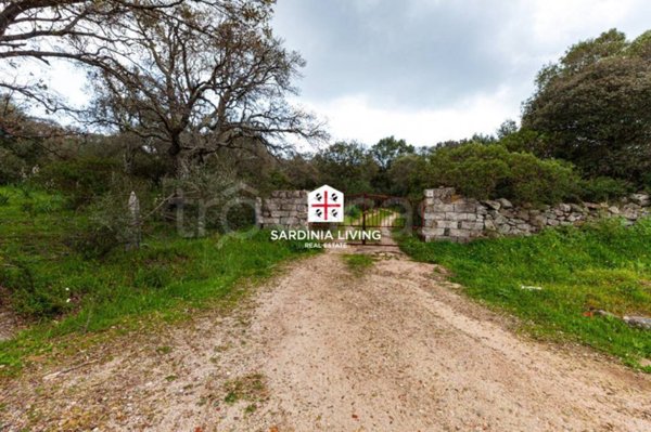 terreno agricolo in vendita a Telti