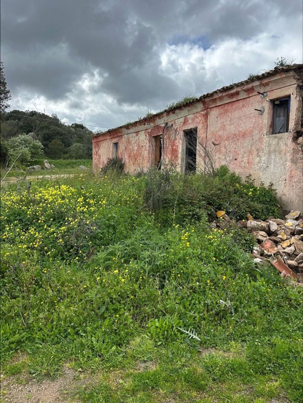 esavano in vendita a Telti