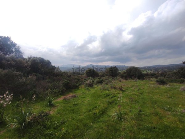 terreno agricolo in vendita a Telti