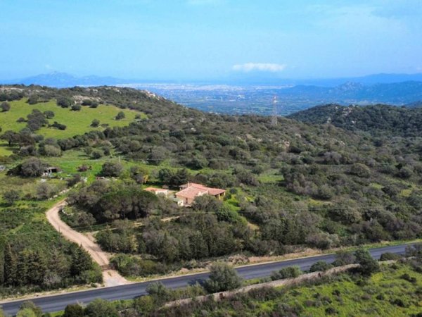 terreno agricolo in vendita a Telti