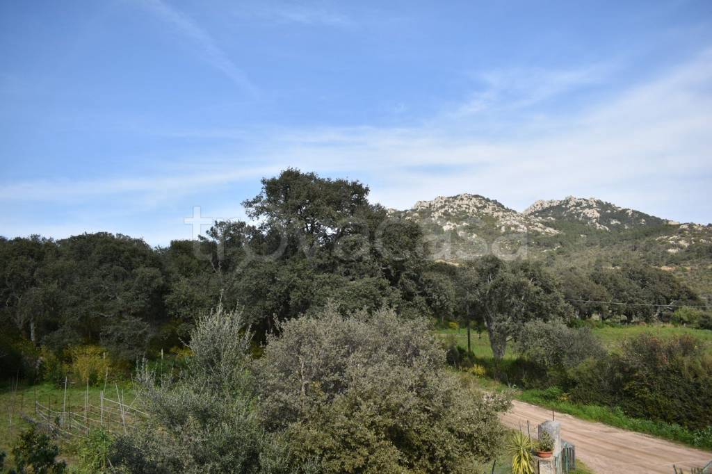 casa indipendente in vendita a Telti