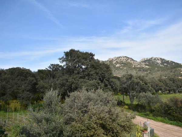 casa indipendente in vendita a Telti