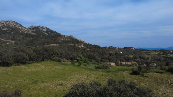 casa indipendente in vendita a Telti