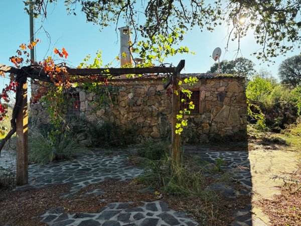 appartamento in vendita a Telti