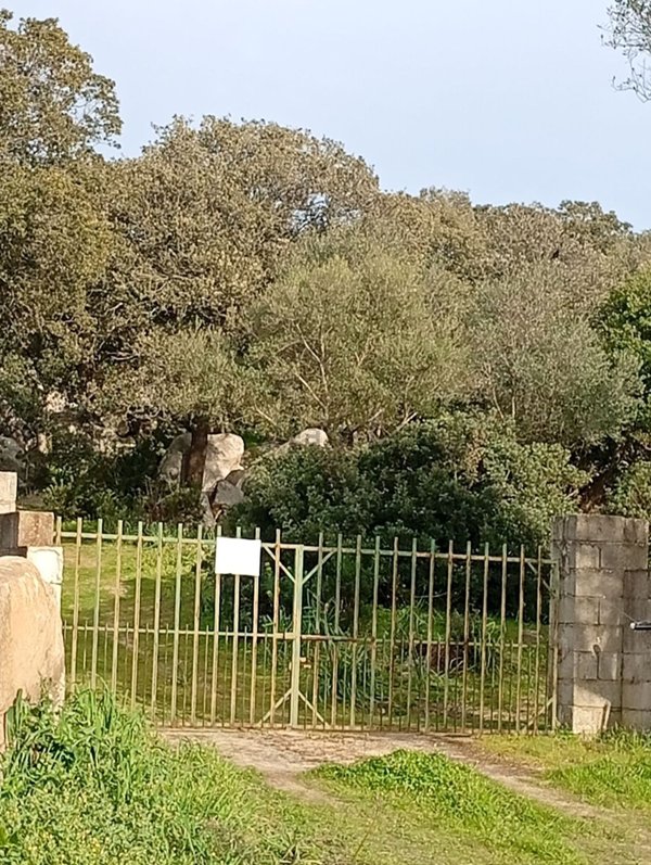 terreno edificabile in vendita a Telti