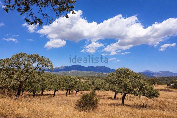 casa indipendente in vendita a Telti