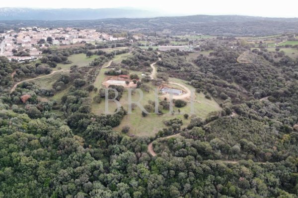 casa indipendente in vendita a Telti