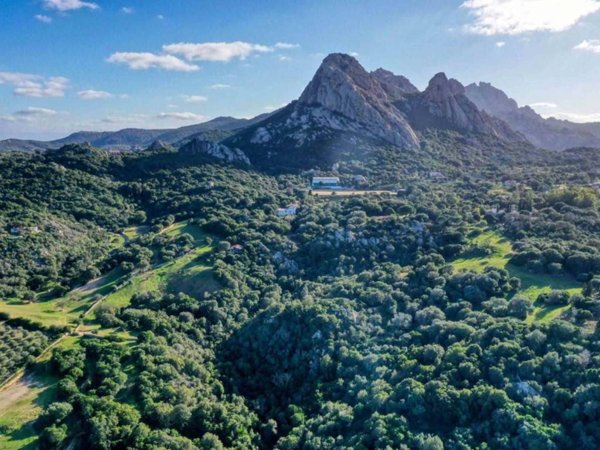 casa indipendente in vendita a Telti