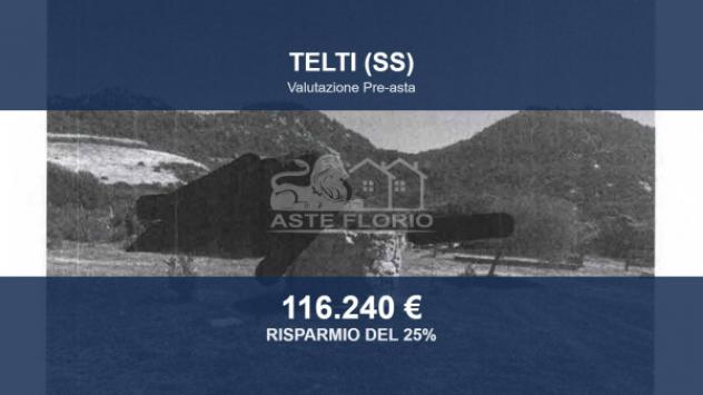terreno agricolo in vendita a Telti