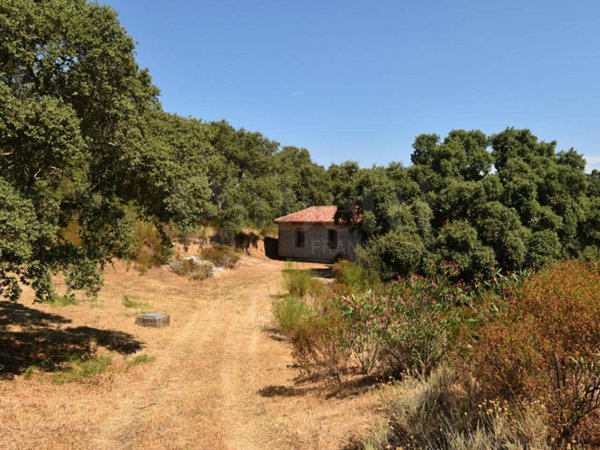 casale in vendita a Telti