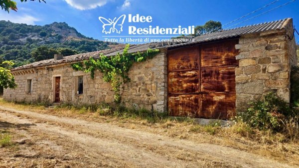 appartamento in vendita a Telti