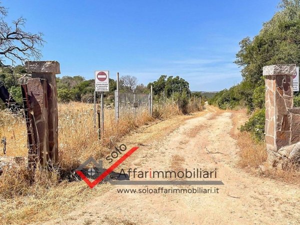 terreno agricolo in vendita a Telti
