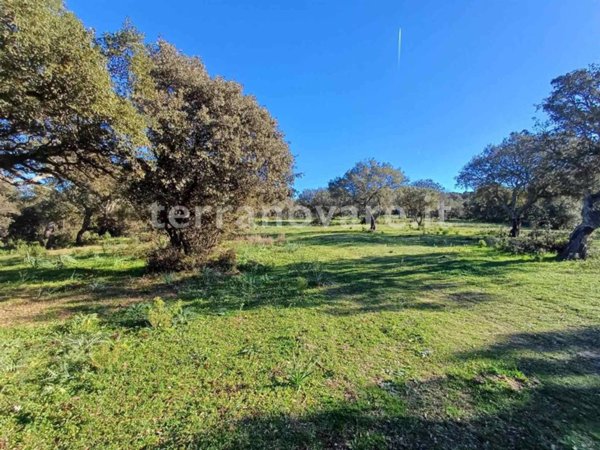 terreno in vendita a Telti