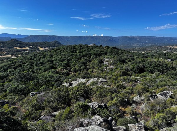 terreno in vendita a Telti