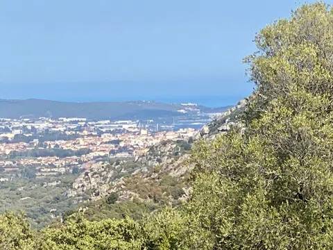 terreno in vendita a Telti