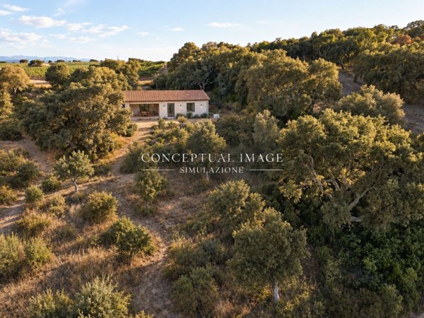 casa indipendente in vendita a Telti
