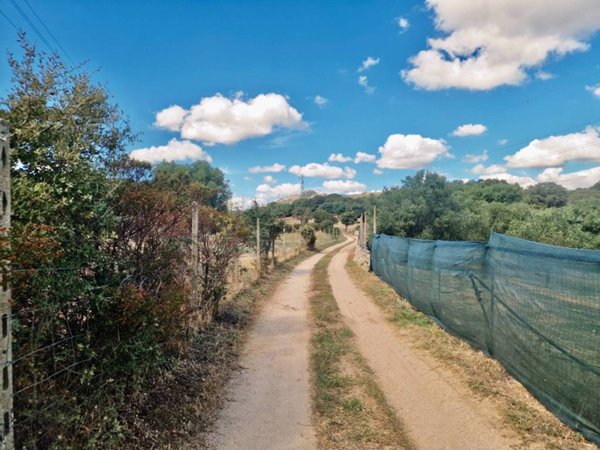 terreno agricolo in vendita a Telti