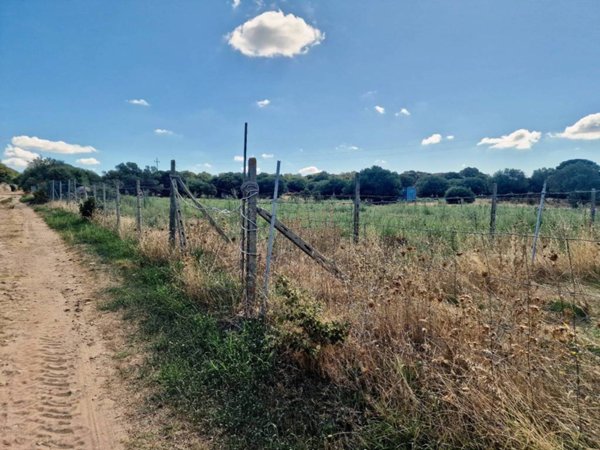 terreno agricolo in vendita a Telti