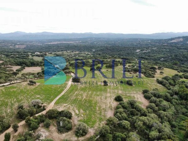 terreno in vendita a Telti