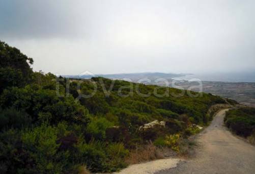 terreno agricolo in vendita a Badesi