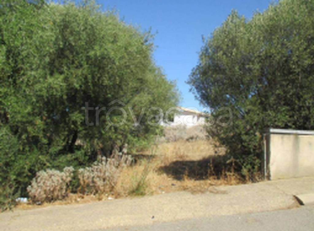 terreno agricolo in vendita a Badesi in zona Muntiggioni