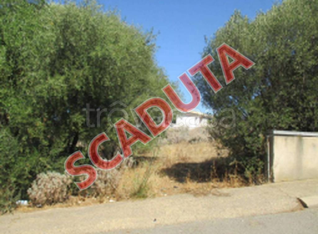 terreno agricolo in vendita a Badesi in zona Muntiggioni