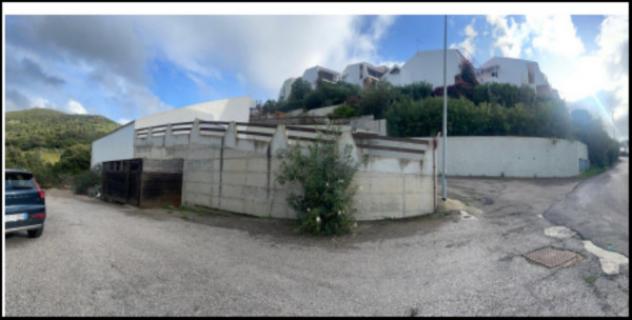 pentavano in vendita a Badesi in zona La Tozza