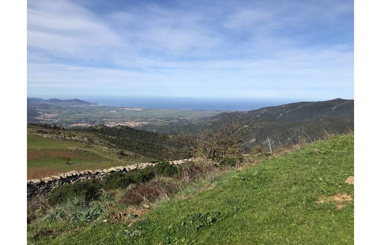 terreno agricolo in vendita a Viddalba
