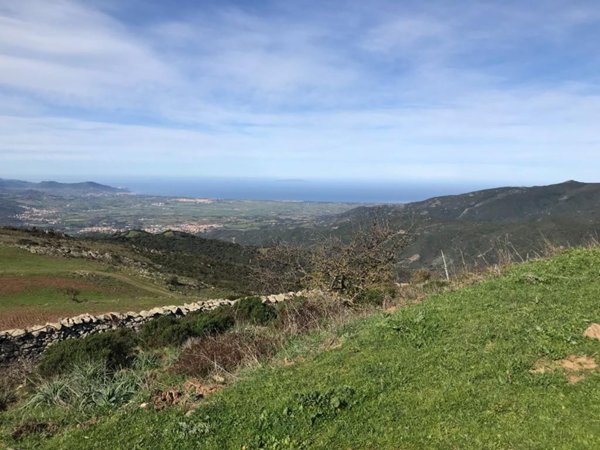 terreno agricolo in vendita a Viddalba
