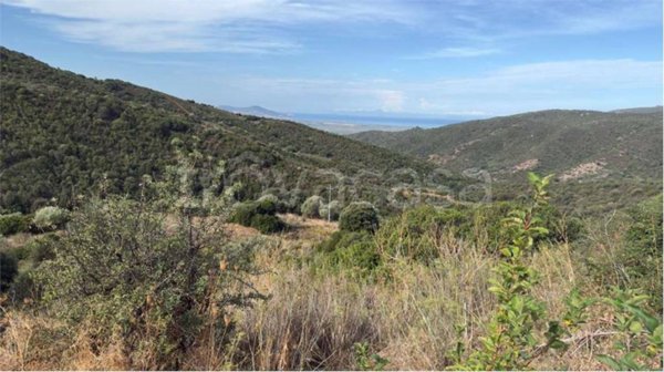 terreno agricolo in vendita a Viddalba