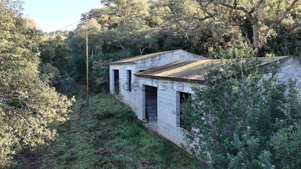 pentavano in vendita a Viddalba