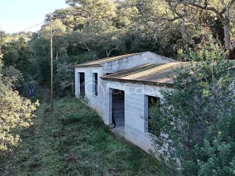 casa indipendente in vendita a Viddalba