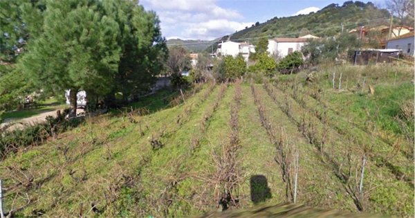 terreno agricolo in vendita a Viddalba
